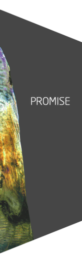 Promise