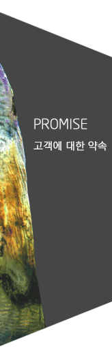 Promise